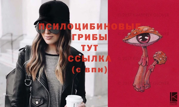 скорость Алзамай