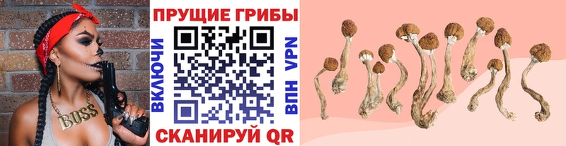 Галлюциногенные грибы мухоморы  наркотики  Жуков 