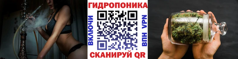 даркнет сайт  Жуков  Бошки марихуана индика 